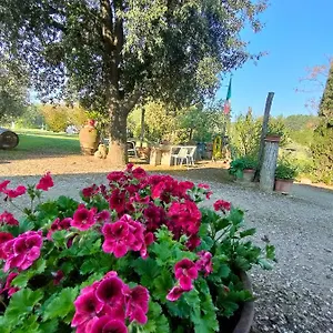 Azienda Agricola Polveraia Agroturismo San Gimignano